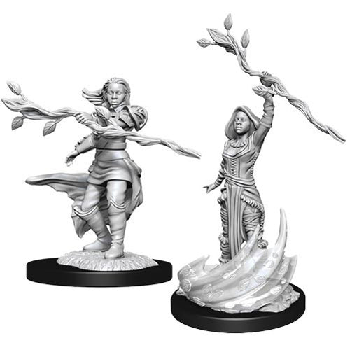 D&D Nolzur's Marvelous Unpainted Miniatures (Wave 14): Human Druid Female