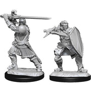 D&D Nolzur's Marvelous Unpainted Miniatures (Wave 14): Human Paladin Male