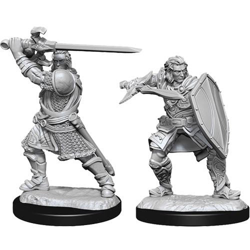 D&D Nolzur's Marvelous Unpainted Miniatures (Wave 14): Human Paladin Male