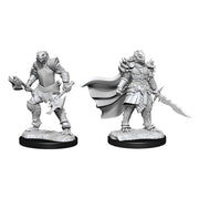 D&D: Nolzur's Marvelous Unpainted Miniatures (Wave 15): Dragonborn Fighter Female