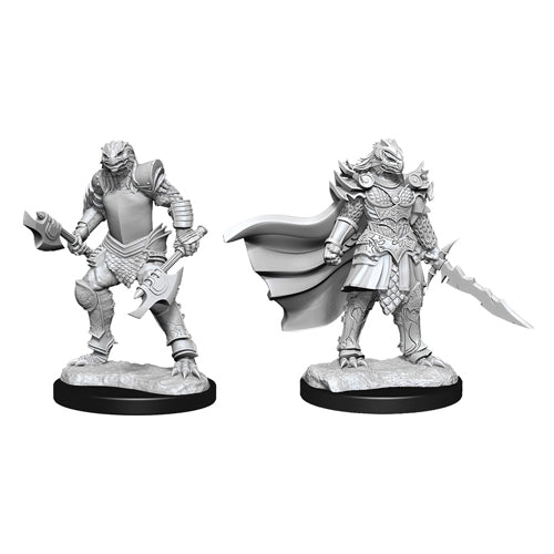 D&D: Nolzur's Marvelous Unpainted Miniatures (Wave 15): Dragonborn Fighter Female