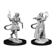 D&D: Nolzur's Marvelous Unpainted Miniatures (Wave 15): Tiefling Sorcerer Female