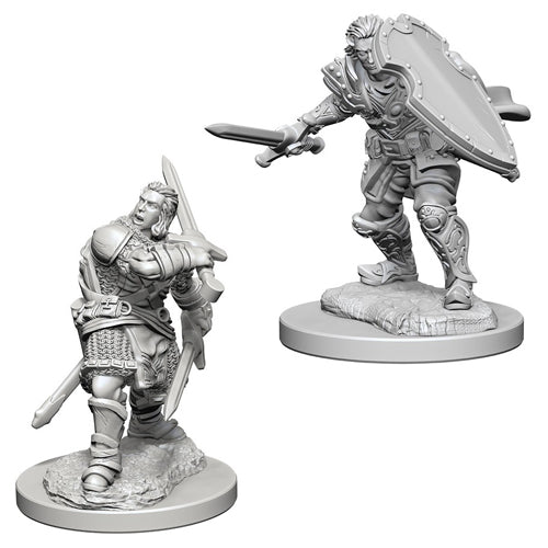D&D Nolzur's Marvelous Unpainted Miniatures (Wave 3): Human Male Paladin