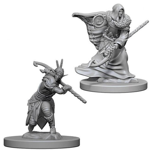 D&D Nolzur's Marvelous Unpainted Miniatures (Wave 4): Elf Male Druid