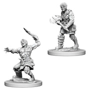 D&D Nolzur's Marvelous Unpainted Miniatures (Wave 6): Nameless One