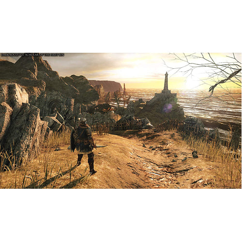 Dark Souls Trilogy - Xbox One - Gameplay Shot 1