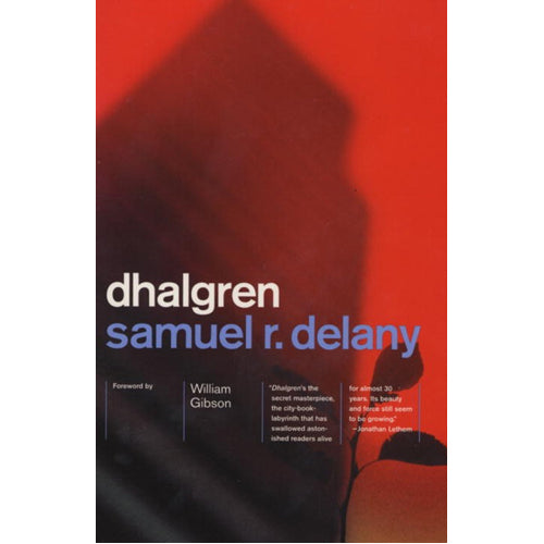 Dhalgren - (Paperback)