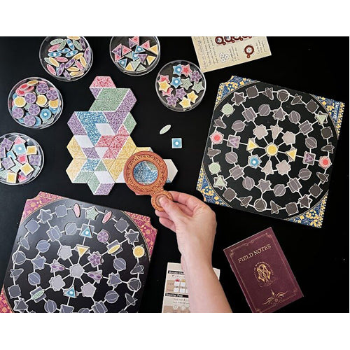 Diatoms