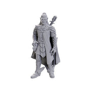 Dorian Storm: Critical Role Unpainted Miniatures (W23)
