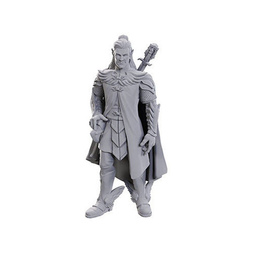 Dorian Storm: Critical Role Unpainted Miniatures (W23)