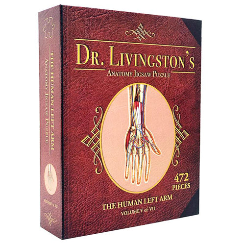 Dr Livingston's Anatomy Jigsaw Puzzle: Volume IV - The Human Left Arm