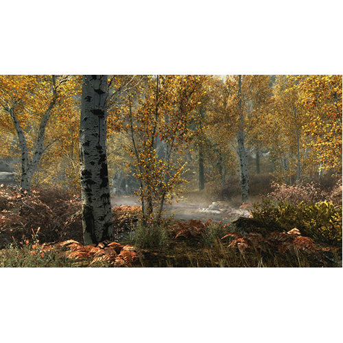 Elder Scrolls V: Skyrim Special Edition - PS4 - Gameplay Shot 2