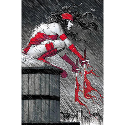 Elektra: Black, White & Blood Treasury Edition