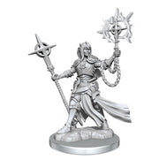 Elf Paladin Female: D&D Frameworks (W2)