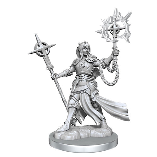 Elf Paladin Female: D&D Frameworks (W2)