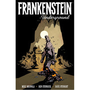 Frankenstein Underground (Paperback)