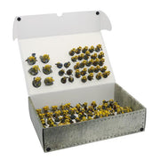 Full-size XL Box with two plates for magnetically-based miniatures
