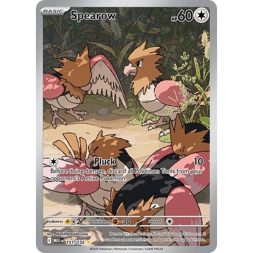 Rapion MEG 151/132 - Holo