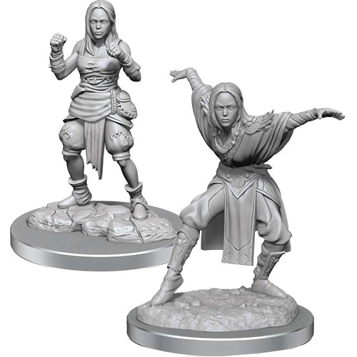 Half-Elf Monk Female: Pathfinder Deep Cuts Unpainted Miniatures (W21)