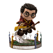 Harry Potter at the Quiddich Match - Harry Potter - MiniCo Illusion