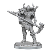 Human Barbarian Female: D&D Frameworks (W2)