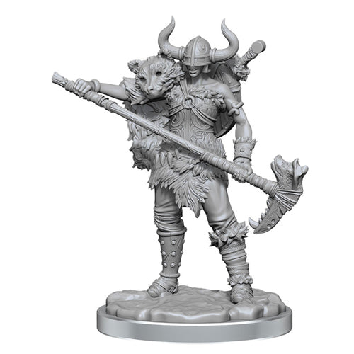 Human Barbarian Female: D&D Frameworks (W2)