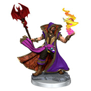 Human Sorcerer Male: D&D Frameworks (W2)