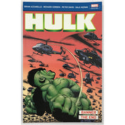 Incredible Hulk: Banner & The End (Paperback)