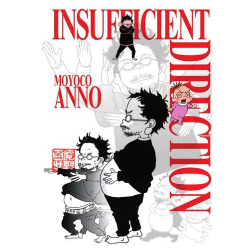 Insufficient Direction (Paperback)