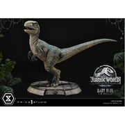 Jurassic World: Fallen Kingdom Prime Collectibles Statue 1/2 Baby Blue 34 cm