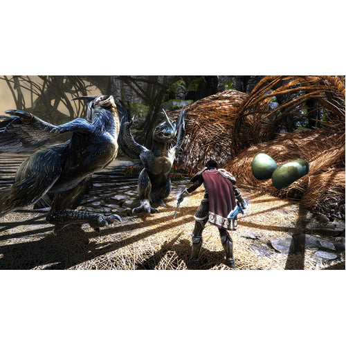 Kingdom Of Amalur Re-Reckoning - PS4 - Gameplay Shot 2