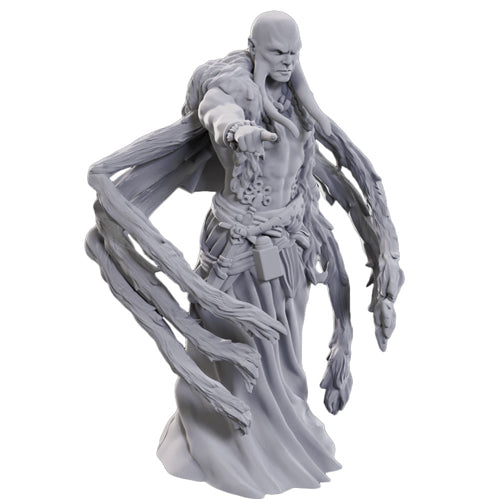 Kraken Priest: D&D Nolzur's Marvelous Miniatures (W24)