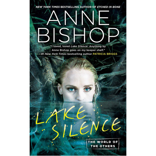 Lake Silence - (Paperback)