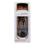 Leaky Cauldron Glass and Coaster Set