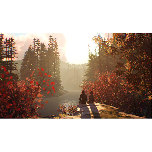 Life Is Strange 2 - Xbox One - Gameplay Shot 2