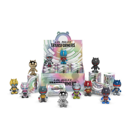 Lil Maxx: Transformers