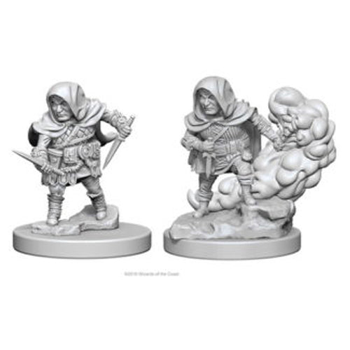 Male Halfling Rogue: D&D Frameworks (W2A)
