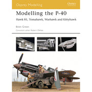 Modelling the P-40
