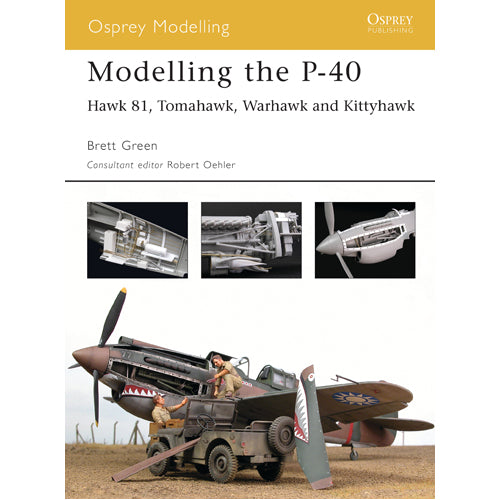 Modelling the P-40