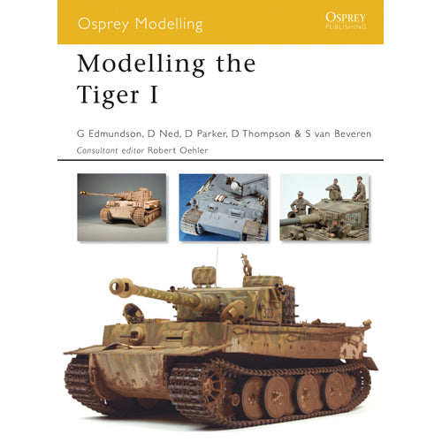 Modelling the Tiger I