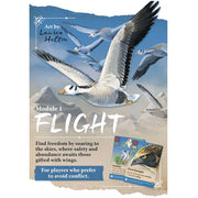 Nature Board Game: Module 1 Flight Module