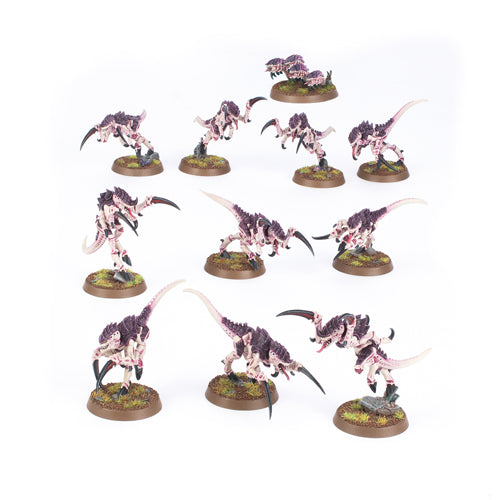 *A Grade* Tyranids: Hormagaunts