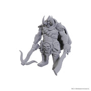 Orthon: D&D Nolzur's Marvelous Unpainted Miniatures (W25)