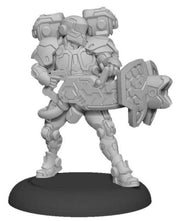 Paladin Aegis
