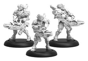Paladin Annihilators