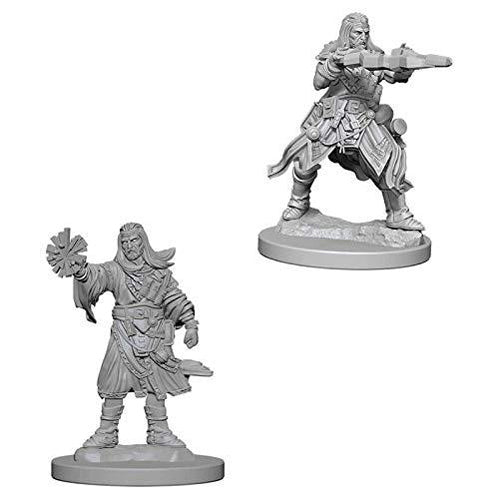 Pathfinder Battles Deep Cuts Unpainted Miniatures (Wave 1): Male Human Wizard