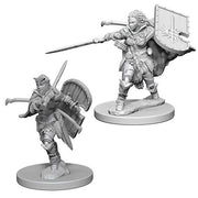 Pathfinder Deep Cuts Unpainted Miniatures (W1) - Human Female Paladin