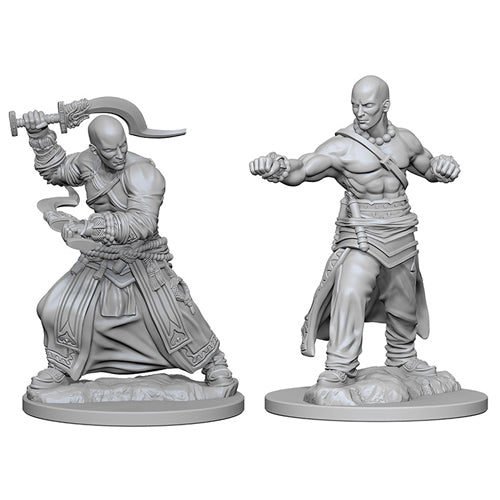Pathfinder Deep Cuts Unpainted Miniatures (W1) - Human Male Monk