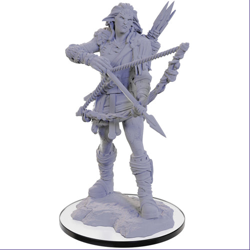 Pathfinder Deep Cuts Unpainted Miniatures W22: Wood Giant