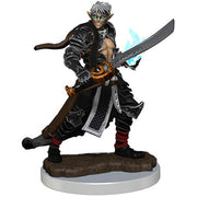 Pathfinder Painted Premium: Male Elf Magus